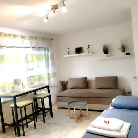 Ruhige Und Gruene Terassenwohnung Wiesbaden