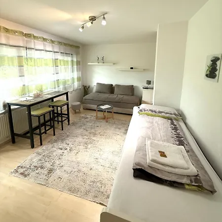 Apartmán 11-ruhiges Wiesbaden-terrasse,wlan,parkplatz